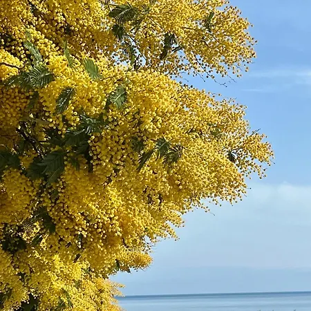 Les Issambres, Appt Acces Direct Sable, Ideal 4 Pers, Vue Mer, Clim Appartement *