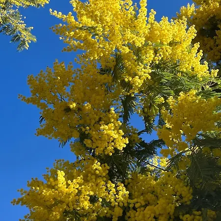 Les Issambres, Appt Acces Direct Sable, Ideal 4 Pers, Vue Mer, Clim Appartement Roquebrune-sur-Argens